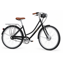 Swytch-Fyxation eBike