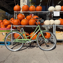 Swytch-Fyxation eBike