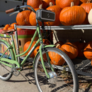 Swytch-Fyxation eBike