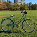 Swytch-Fyxation MAX++ eBike