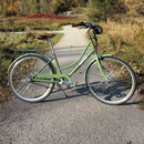Swytch-Fyxation MAX++ eBike