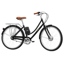 Swytch Fyxation Electric Bike
