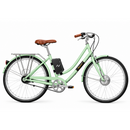 Swytch Fyxation Electric Bike